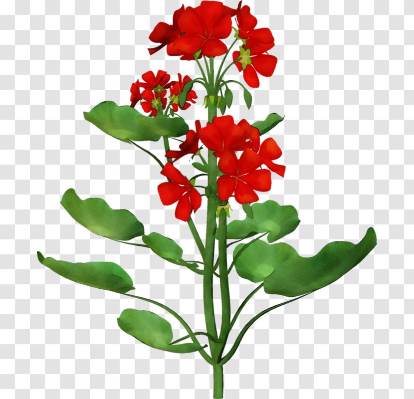 Artificial Flower - Plant Stem - Fire Lily Transparent PNG