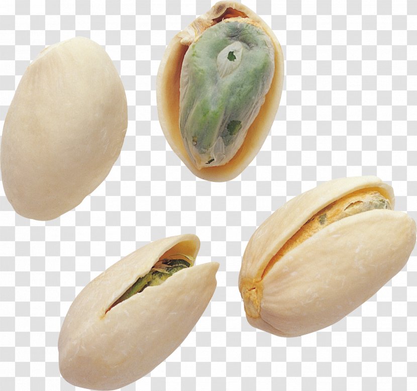 Pistachio PhotoScape Clip Art - World Wide Web - HD Pistachios Transparent PNG