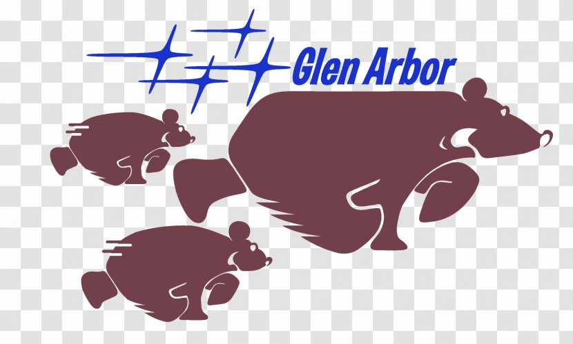 Glen Arbor Bear Running Carnivores Child - Snout - Day Transparent PNG