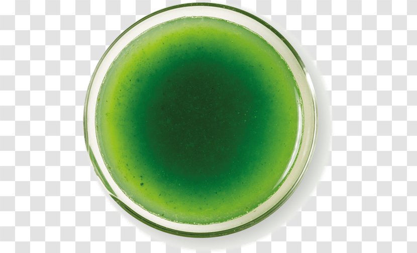 Circle Tableware - Green Transparent PNG