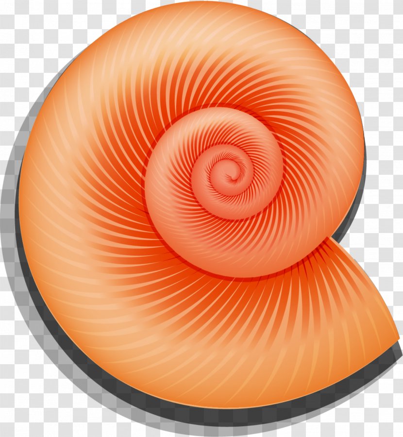 Orthogastropoda Icon - Invertebrate - Hand Painted Red Snail Transparent PNG