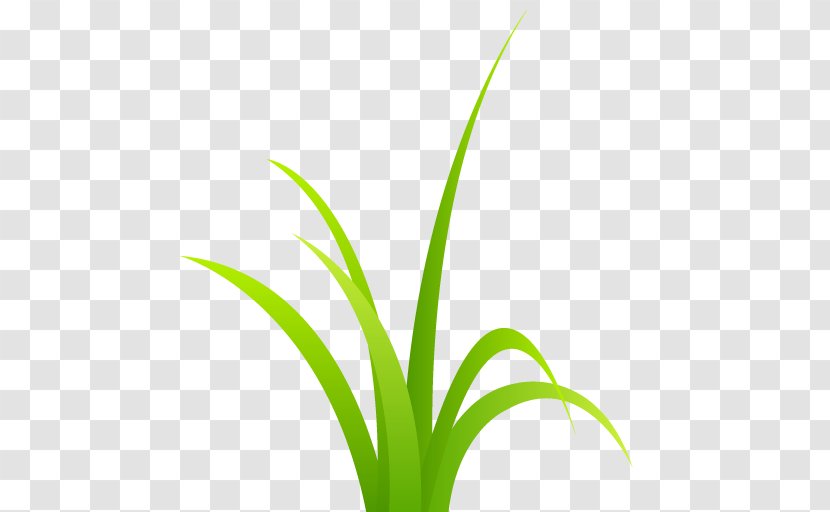 Grasses Plant Stem Garden Hedge - No Dig Theme Transparent PNG