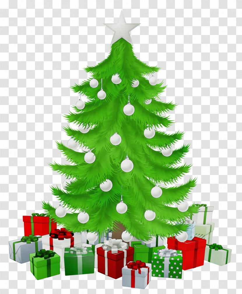 Christmas Tree - Pine Spruce Transparent PNG