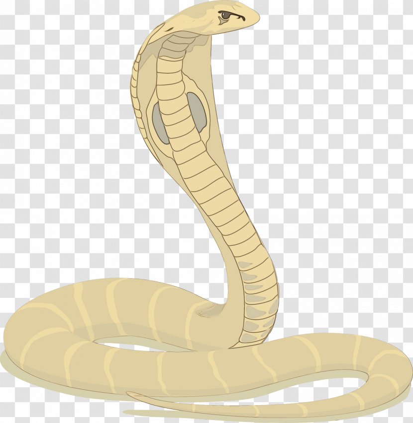 Indian Cobra Rattlesnake Mambas Snakes Vipers - King Transparent PNG