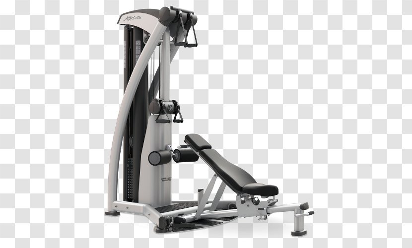 Fitness Centre Life Exercise Equipment Physical - Machine - Gym Transparent PNG
