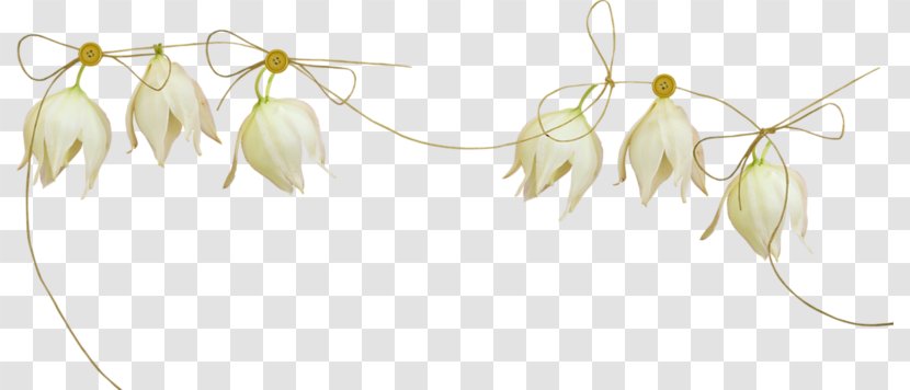 Flower .de Plant Stem REC Clip Art - Wedding Decorative Transparent PNG