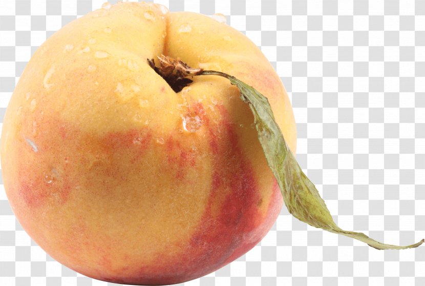 Nectarine Food Clip Art - Peach Image Transparent PNG