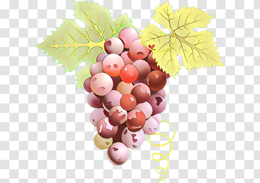 Grape Grapevine Family Fruit Food Vitis Transparent PNG