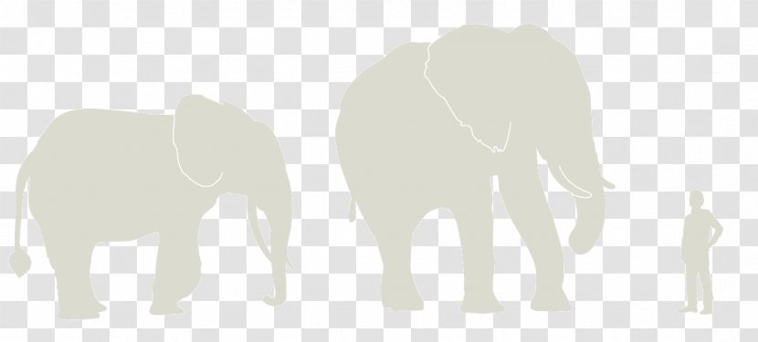 Indian Elephant African Cattle Product Design Mammal - Grass - Grasslands Transparent PNG