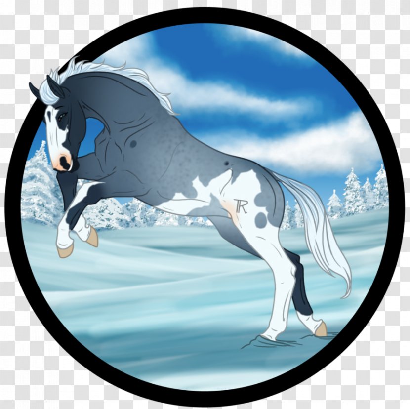 Stallion Mustang Pack Animal Freikörperkultur Legendary Creature - Mythical Transparent PNG