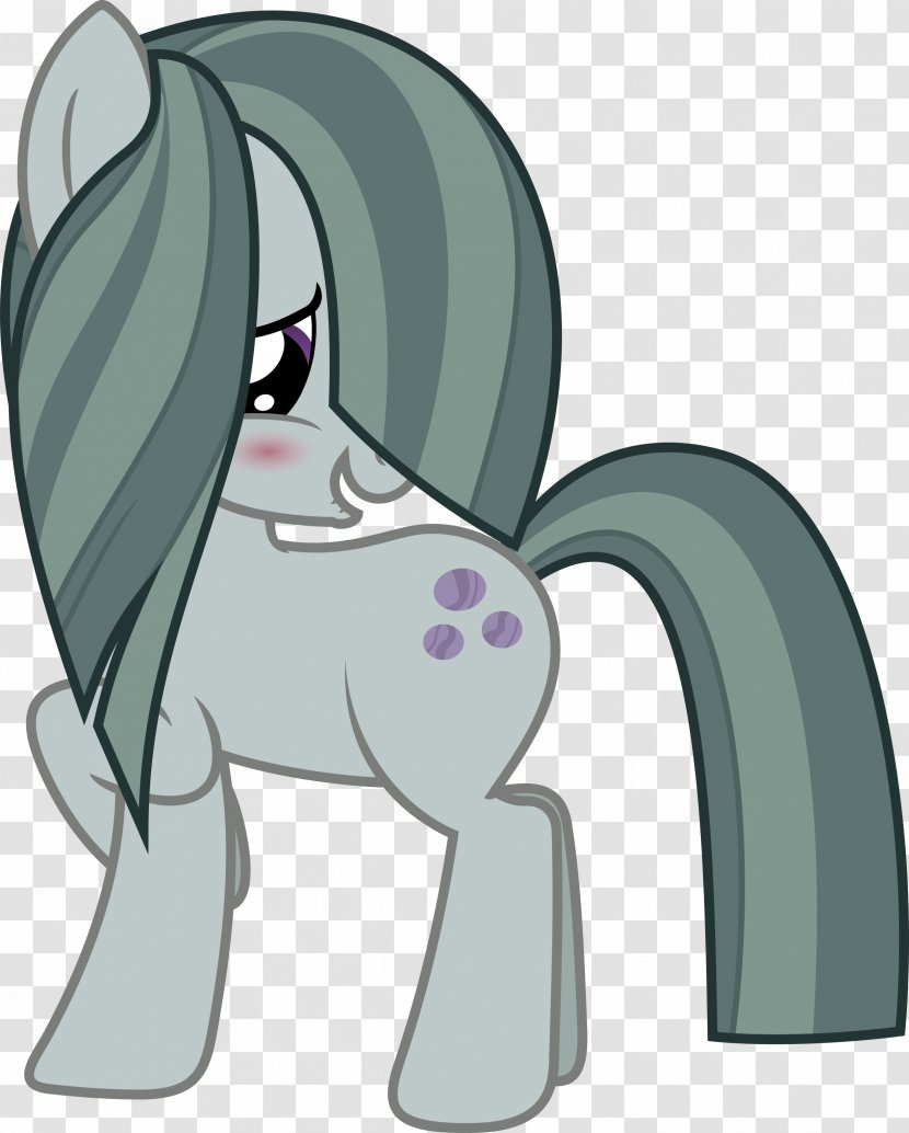 Applejack Maud Pie Fluttershy Marble - Flower - MARBLE Transparent PNG