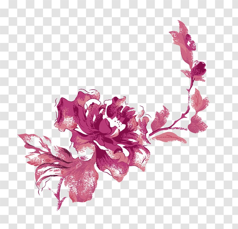 Beach Rose Flower Rosa Chinensis Moutan Peony Color - White Transparent PNG