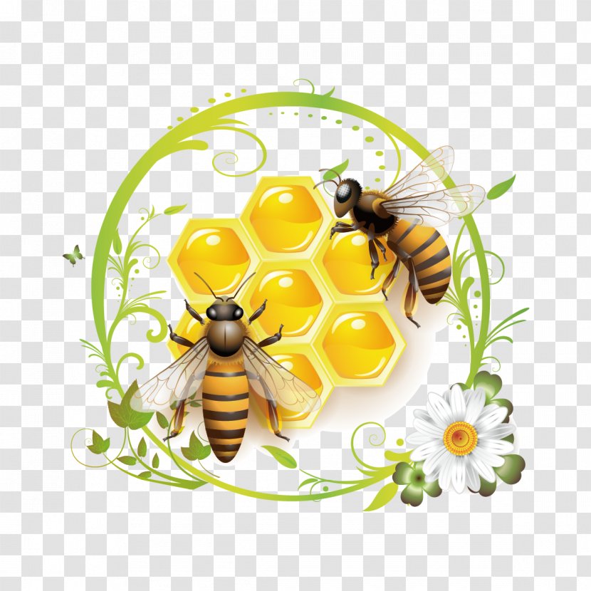 Honey Bee Clip Art - Royaltyfree - Bees And Transparent PNG