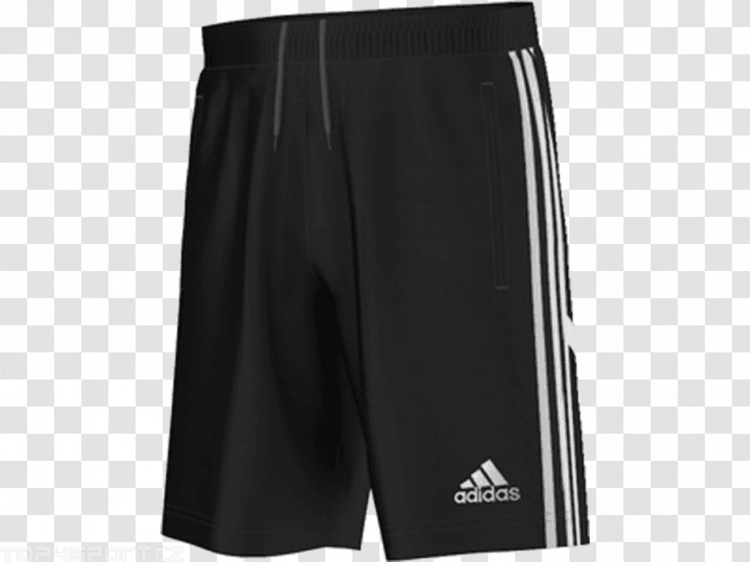 Gym Shorts Adidas Running Sportswear - Trunks Transparent PNG