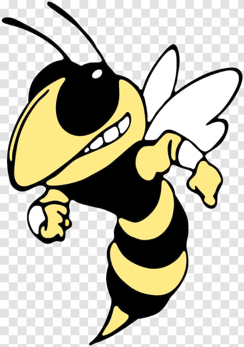 Yellowjacket Georgia Institute Of Technology Sprayberry High School Tech Yellow Jackets Baseball - Black And White - Insect Transparent PNG