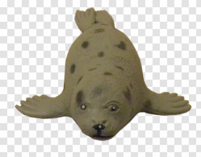 Reptile Marine Mammal Animal Harbor Seal Pinniped - Organism - Leopard Transparent PNG