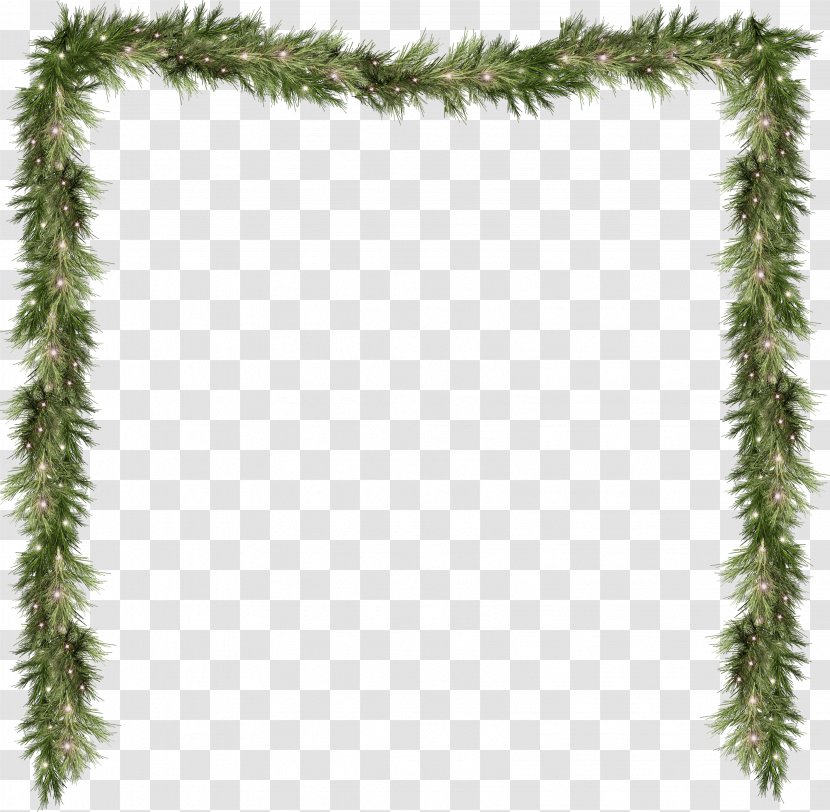 Pine Spruce Fir Branch Evergreen - Picture Frame - Garland Transparent PNG