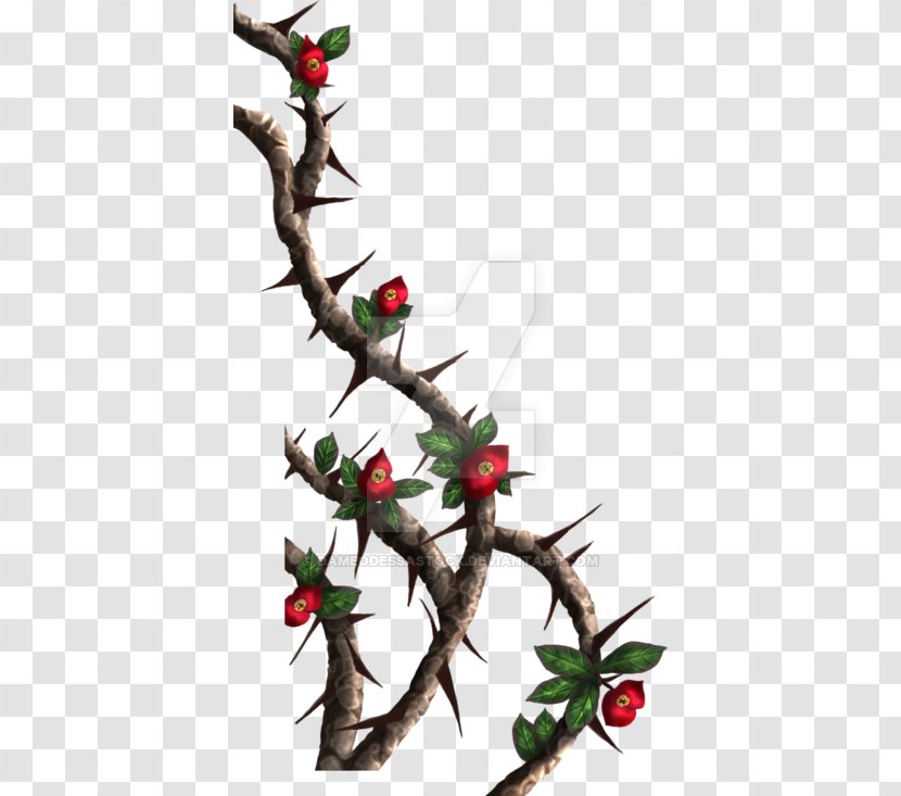 Thorns, Spines, And Prickles Rose Crown Of Thorns Clip Art - Vine Transparent PNG