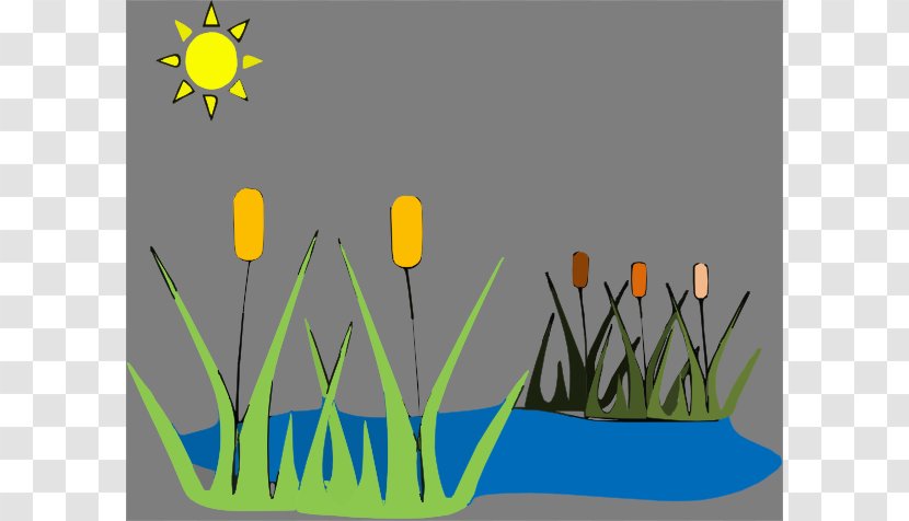 Marsh Trip To The Pond Clip Art - Aquatic Plant - Cliparts Transparent PNG