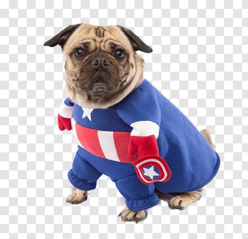 Pugs In Costumes Captain America Dog Breed - Costume Transparent PNG