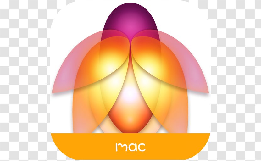 Macintosh App Store Apple MacOS - Screenshot Transparent PNG