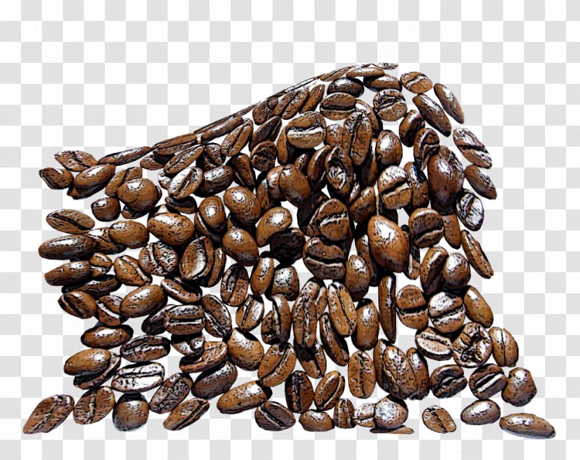 Jamaican Blue Mountain Coffee Nut Seed Commodity - Nuts Seeds - Beans Transparent PNG