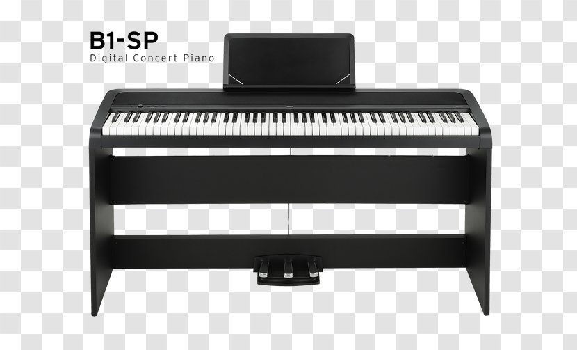 Digital Piano KORG B1SP - Silhouette Transparent PNG