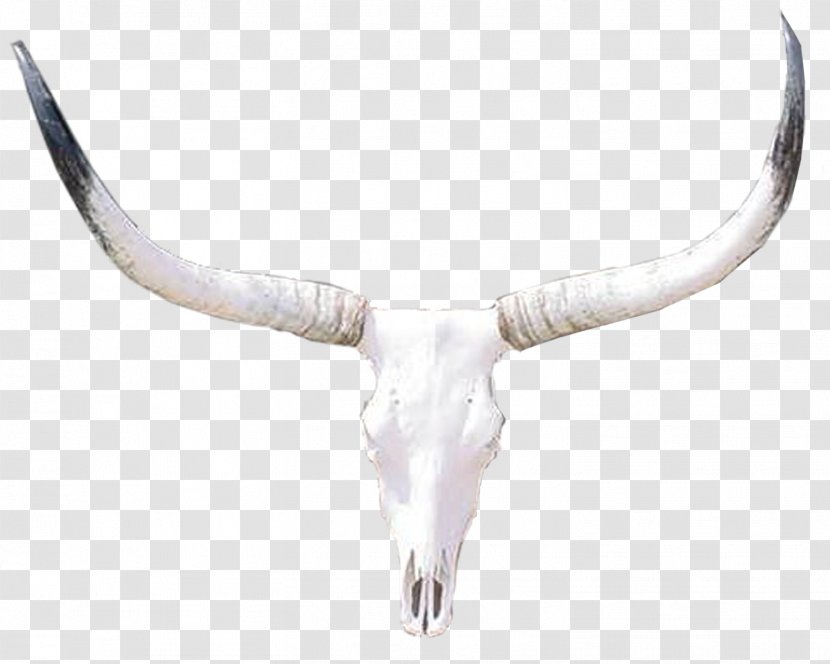 Cattle Bone - Wing - Dallas Cowboys Transparent PNG