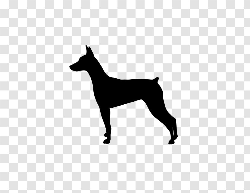 Dobermann German Pinscher Miniature Jagdterrier Puppy Transparent PNG