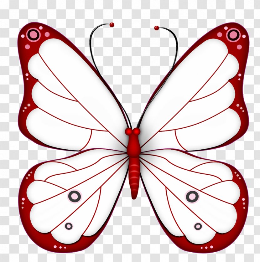 Butterfly Desktop Wallpaper Clip Art - Drawing - Equador Transparent PNG