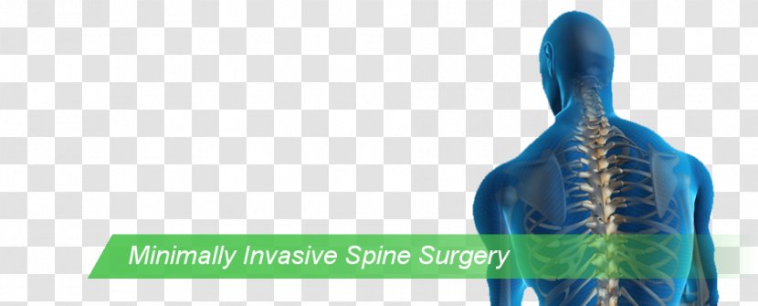 Vertebral Column Neurosurgery Spinal Cord Medicine - Shoulder - Non-invasive Transparent PNG