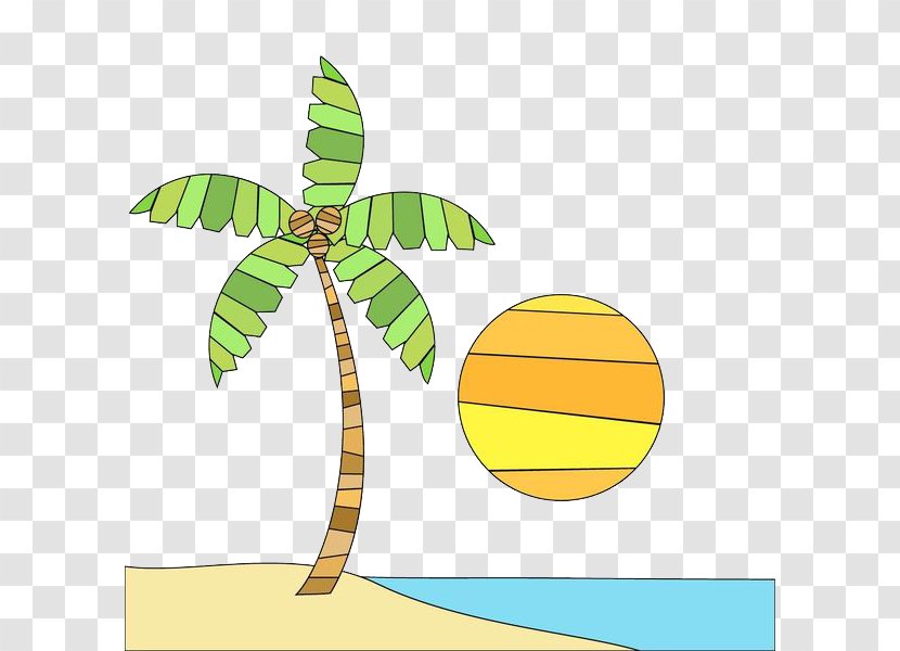 Beach Photography Illustration - Cartoon - Coconut Trees On The Transparent PNG