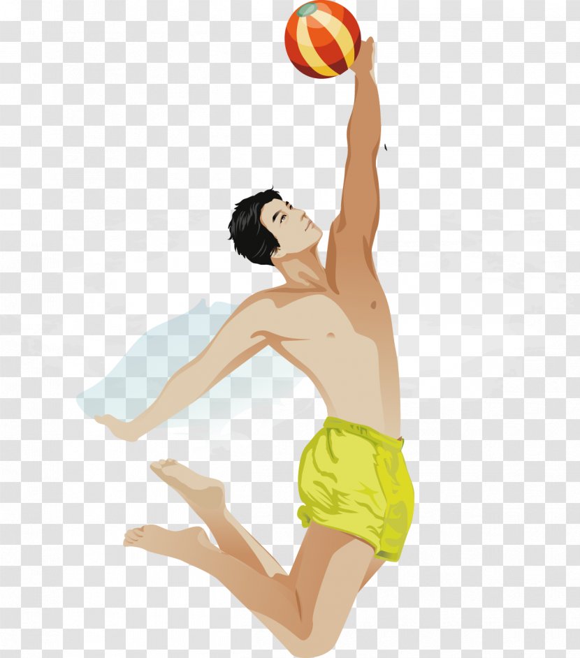 Volleyball Euclidean Vector - Sports Transparent PNG