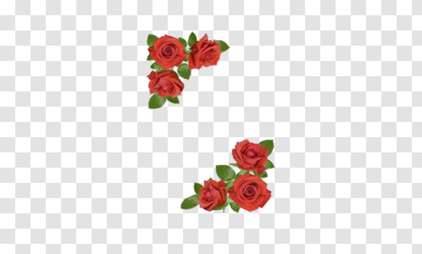 Rose Flower Floral Design Clip Art - Arranging - Diagonal Background Transparent PNG