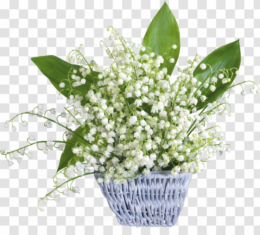 Lily Of The Valley May 1 Party Labour Day - Floral Design Transparent PNG