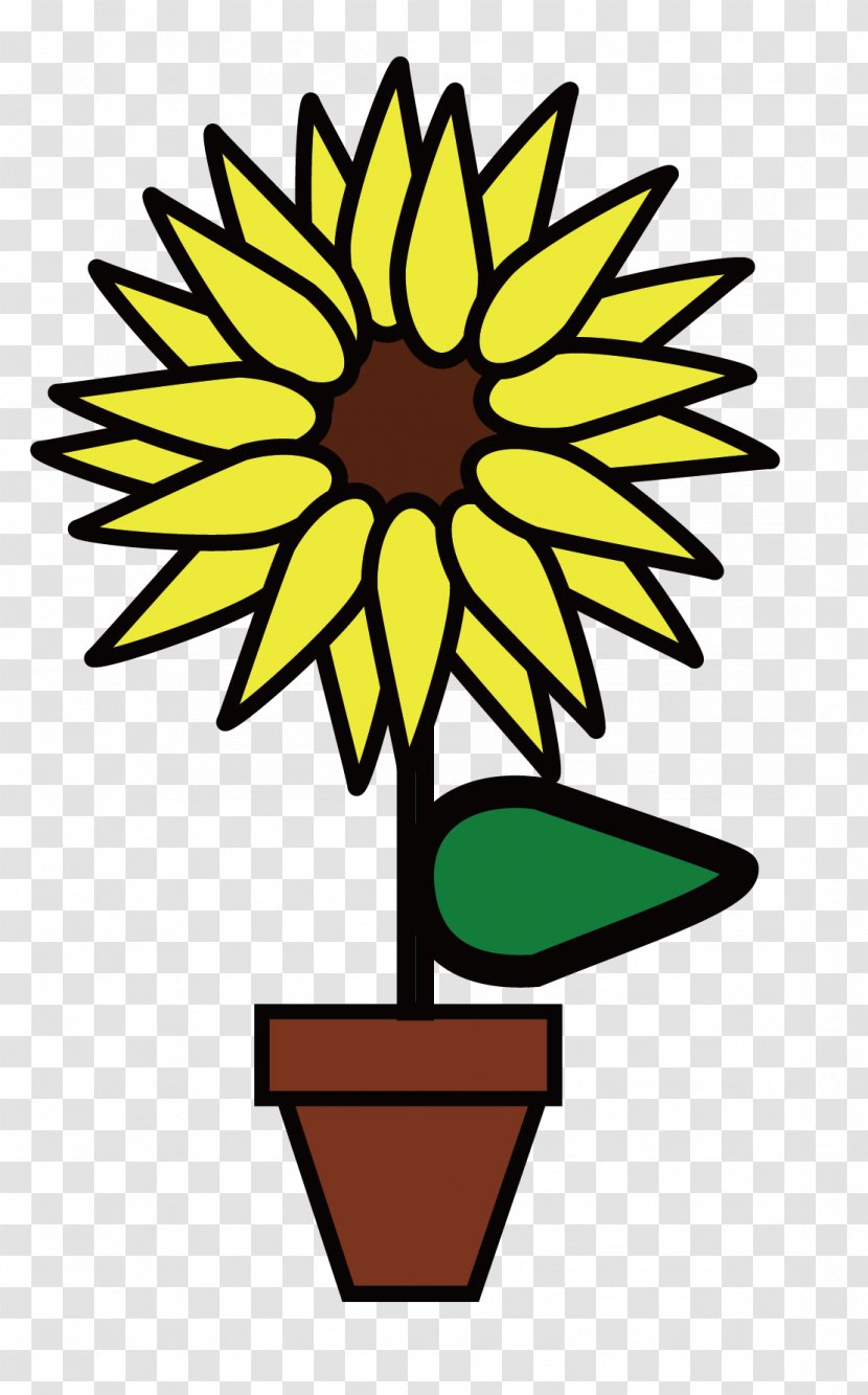 Common Sunflower Drawing Clip Art - Ausmalbild - Vector Floral Flowers Transparent PNG