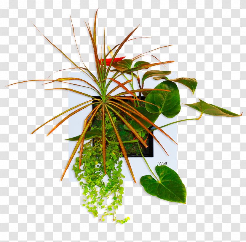 Leaf Flowerpot Houseplant Plant Stem - Flora Transparent PNG
