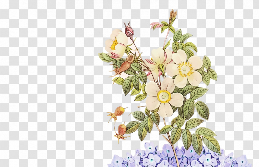 Floral Design Transparent PNG