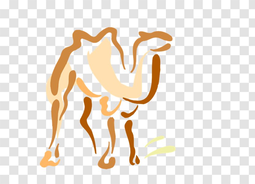 Camel Dromedary Drawing Photography Clip Art - Flower - Caravan Transparent PNG