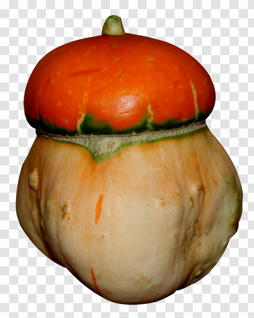 Great Pumpkin Winter Squash Calabaza Vegetarian Cuisine - Food Spoilage - Creative Transparent PNG