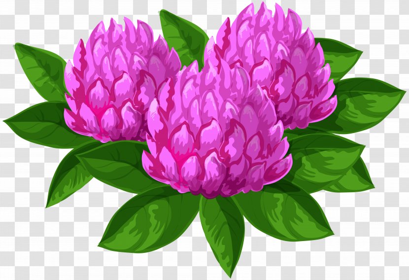 Flower Clip Art - Wild Flowers Image Transparent PNG