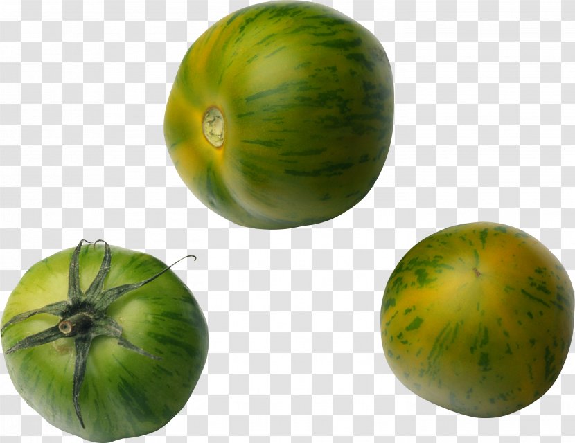Tomato Juice Fried Green Tomatoes Tomatillo Pumpkin - Photography Transparent PNG