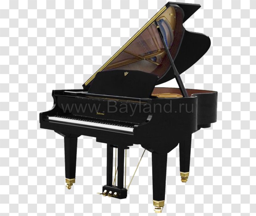 Boston Steinway & Sons Grand Piano ボストンピアノ - Musical Keyboard Transparent PNG