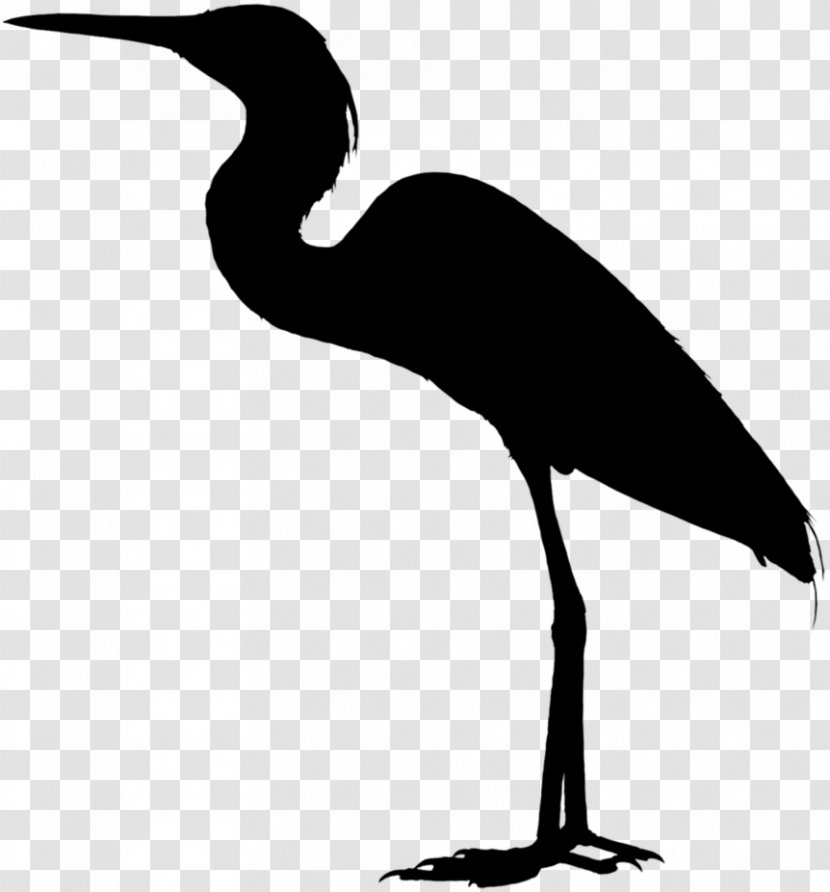 Heron Ibis Stork Clip Art Crane - Beak - Vertebrate Transparent PNG