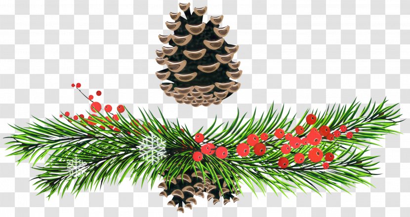 Christmas Black And White - Plant - Holly Cypress Family Transparent PNG