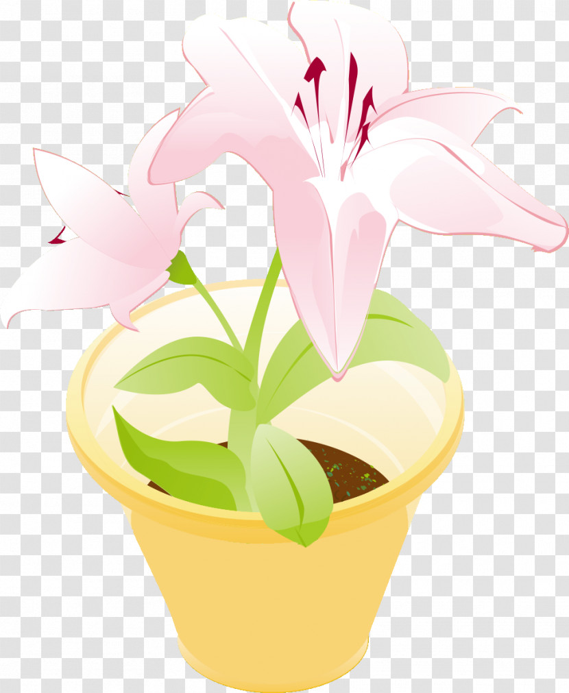 Flower Floral Vase Transparent PNG