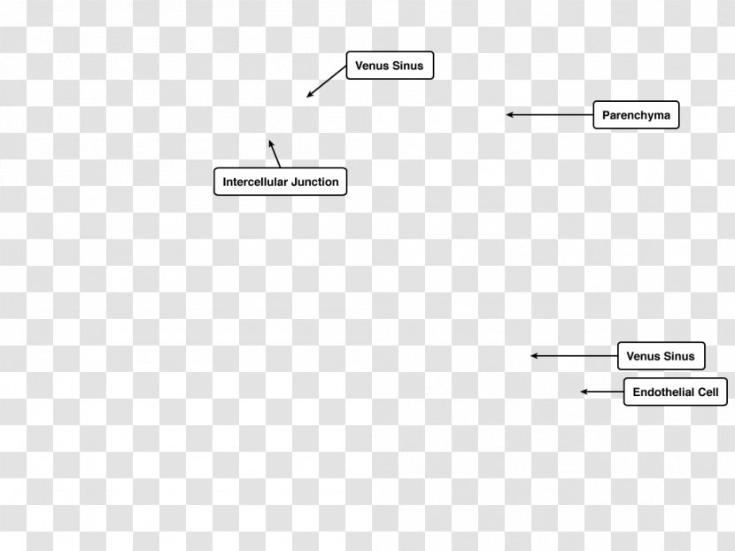 Document Line Angle - Brand - Design Transparent PNG