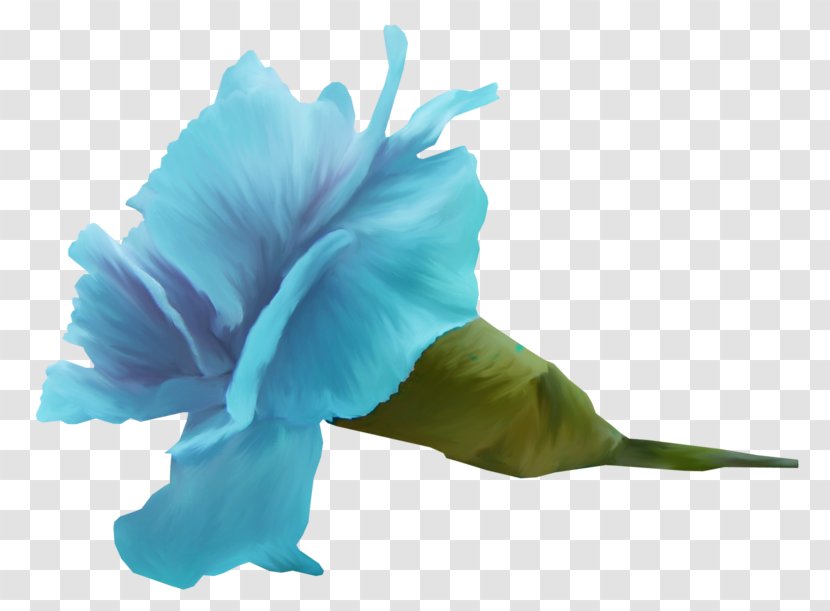 Blue Cut Flowers Petal Color - Rose Family - Flower Transparent PNG