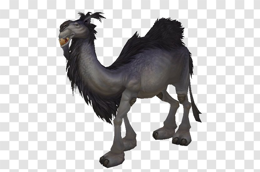 Dromedary World Of Warcraft: Battle For Azeroth Massively Multiplayer Online Game Grey Horse Tack - Animal - Australian Feral Camel Transparent PNG