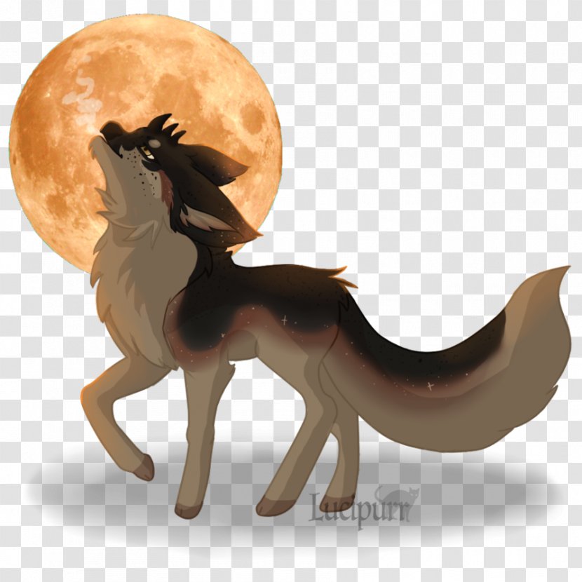 Mustang Pony Mane Cat Dog - Horse Transparent PNG